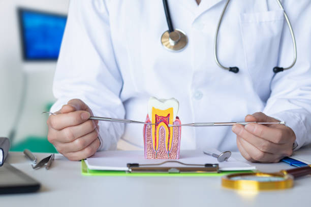 Best Emergency Dental Services for Seniors in Crosby, TX
